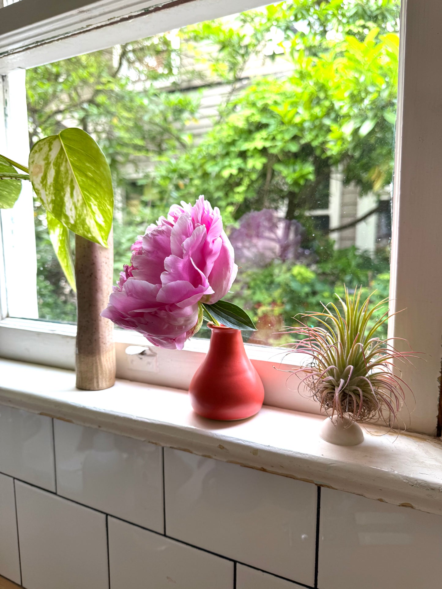 CORAL VASE - SMALL